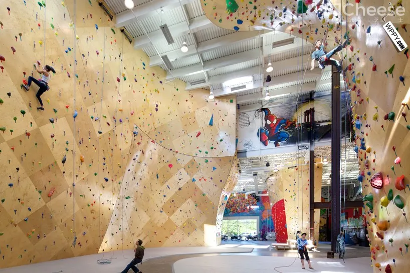 [健身馆] brooklyn boulders coworking space features towering rock climbing wall-时刻设计网