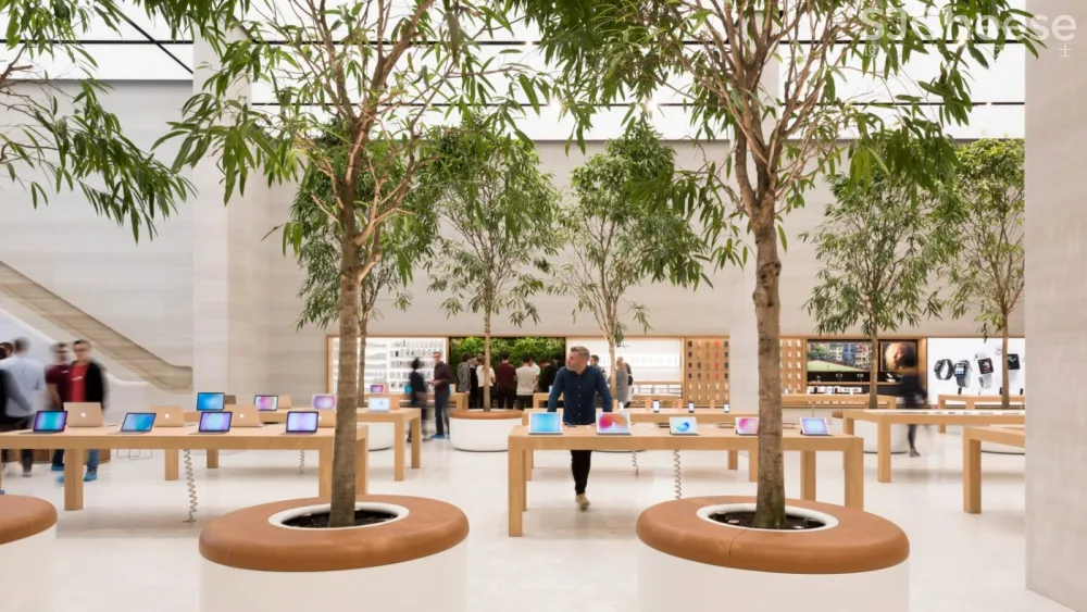 充满树木的苹果Regent街道商店-时刻设计网
